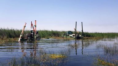 آغاز عملیات نی زدایی و لایروبی از تالاب شادگان 