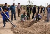 یکصد اصله نهال در شهرک کوت امیر کاشته شد