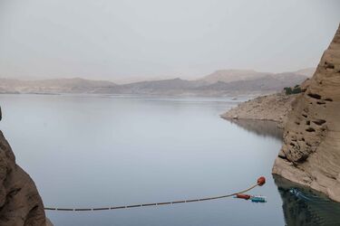 _MG_4799