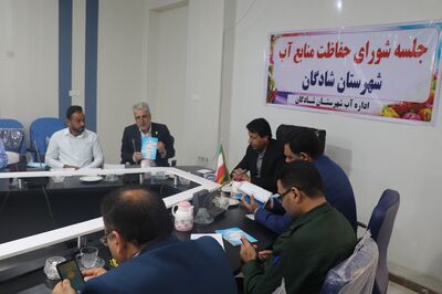 تاکید مدیرعامل سازمان آب و برق خوزستان بر تامین آب کشت های تابستانه و نخیلات شادگان


