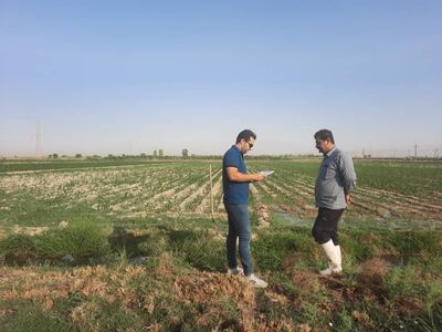 آغاز عملیات مساحی کشت تابستانه و سالیانه در شرکت آبیاری مارون 