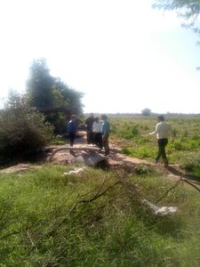 شناسایی یک حلقه چاه غیرمجاز درشهرستان شوش

 
 
