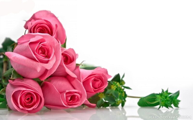 اهدای 110 میلیون ریال برای آزادی زندانیان جرائم غیر عمد