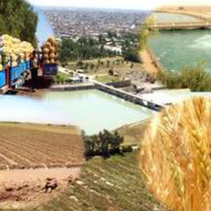 آخرین فرصت عقد قرارداد آب کشاورزان منطقه شمال خوزستان اعلام شد