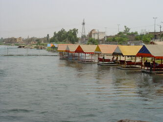 n00000869-r-b-002