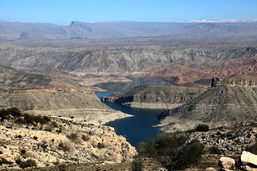 n00002163-r-b-004