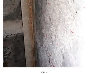 n00002179-r-b-004