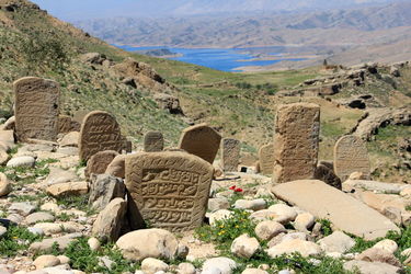 n00001707-r-b-006