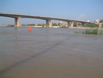 n00000545-r-b-002