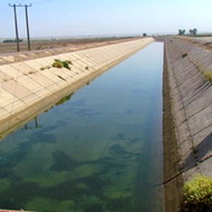 کشت تابستانه در حوضه رودخانه کرخه ممنوع شد