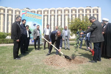 درخت کاری