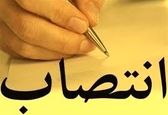 مسئول امور شهدا و ایثارگران سازمان منصوب شد

