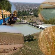 ۵۰ هزار هکتار از اراضی شمال خوزستان به زیر کشت محصولات زمستانه رفت