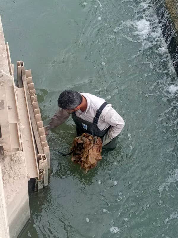 پاکسازی دریچه‌های ورودی مخزن مکش تاسیسات آبرسانی بندر امام  