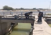 عملیات تعمیرات، جوشکاری و تنظیم چک ها و دریچه های شبکه آبیاری میان آب