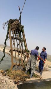 جلبک زدایی از سیفونهای مرغزار آغاز شد