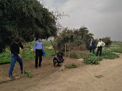 جمع آوری  حصار و ممانعت از  اسکان در حریم کانال ها و زهکش های تحت پوشش شرکت بهره برداری از شبکه های آبیاری کارون بزرگ