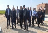 رئیس حوضه آبریز کارون بزرگ شرکت مدیریت منابع آب ایران از شبکه آبیاری دیمچه بازدید کرد