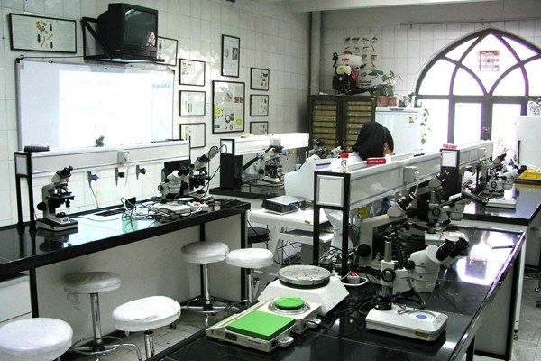  کشف عامل تغییر رنگ و تیرگی روغن گاورنر در نیروگاه شهید عباسپور