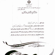 کسب مقام قهرمانی کارمند سازمان آب و برق خوزستان در مسابقات شطرنج سراسری وزارت نیرو