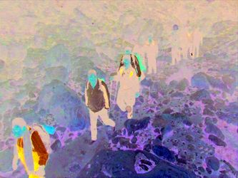 n00001617-r-b-000