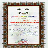 کمیته ایمنی و بهداشت کار سد مسجدسلیمان جزو کمیته های برتر سال ۹۱ معرفی شد