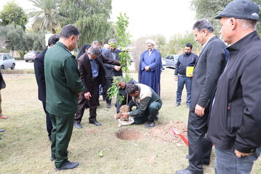 rouze derakht kari 1403-12-15 (46)