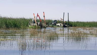 آغاز عملیات نی زدایی و لایروبی از تالاب شادگان 