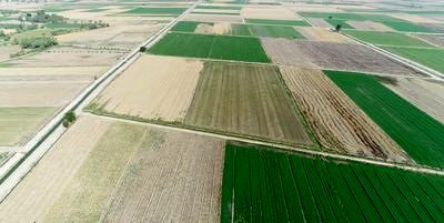 عقد قرارداد آب کشاورزی محصولات زمستانه در شبکه های آبیاری مارون آغاز شد