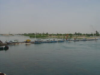 n00000869-r-b-004