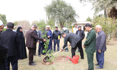 rouze derakht kari 1403-12-15 (56)