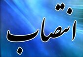 سرپرست معاونت طرح و توسعه شبکه های آبیاری و زهکشی سازمان آب و برق خوزستان منصوب شد