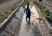 اجرای عملیات لایروبی دستی کانال‌های شبکه آبیاری میان‌آب شوشتر