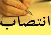 مدیریت حوزه هیئت مدیره و مدیرعامل سازمان منصوب شد