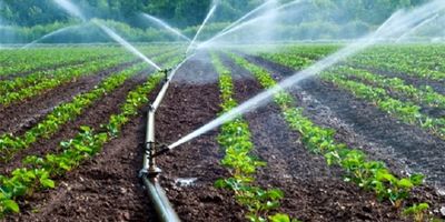 سازمان آب و برق خوزستان در اصلاح و تعدیل پروانه های بهره برداری برتر شد