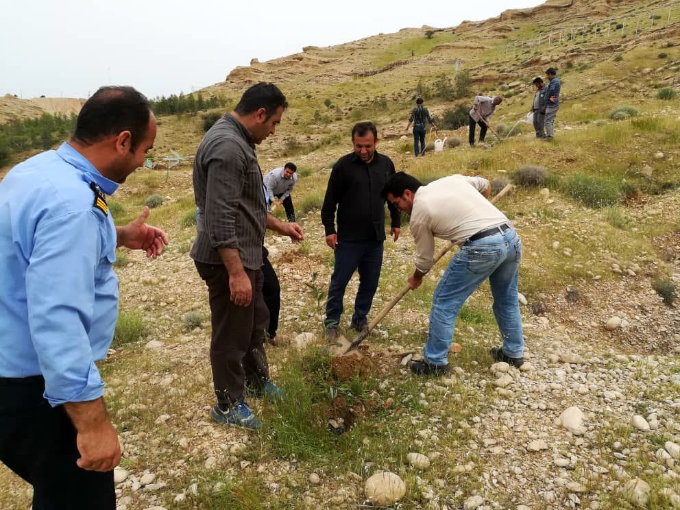 کاشت ۱۲۰۰ اصله نهال، در محدوده گردشگری سد مخزنی جره  رامهرمز