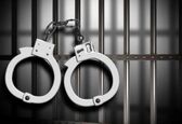 یک سارق در حوزه کارون جنوبی دستگیر شد