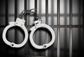 یک سارق در حوزه کارون جنوبی دستگیر شد