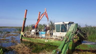 آغاز عملیات نی زدایی و لایروبی از تالاب شادگان 