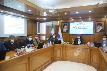 شورای معاونین