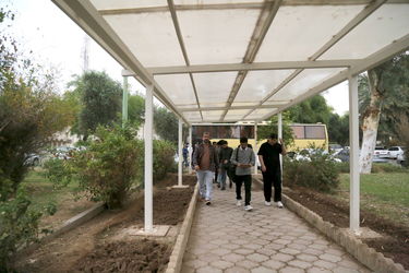 دانشجو