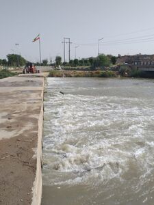 پل کنار گذر شاوور (پل ترافیکی) به طور کامل لایروبی و پاکسازی شد