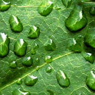 باران کم سابقه منطقه شمال خوزستان را دربرگرفت