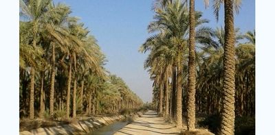 تأمین 143 میلیون متر مکعب آب نخیلات شادگان در تابستان امسال